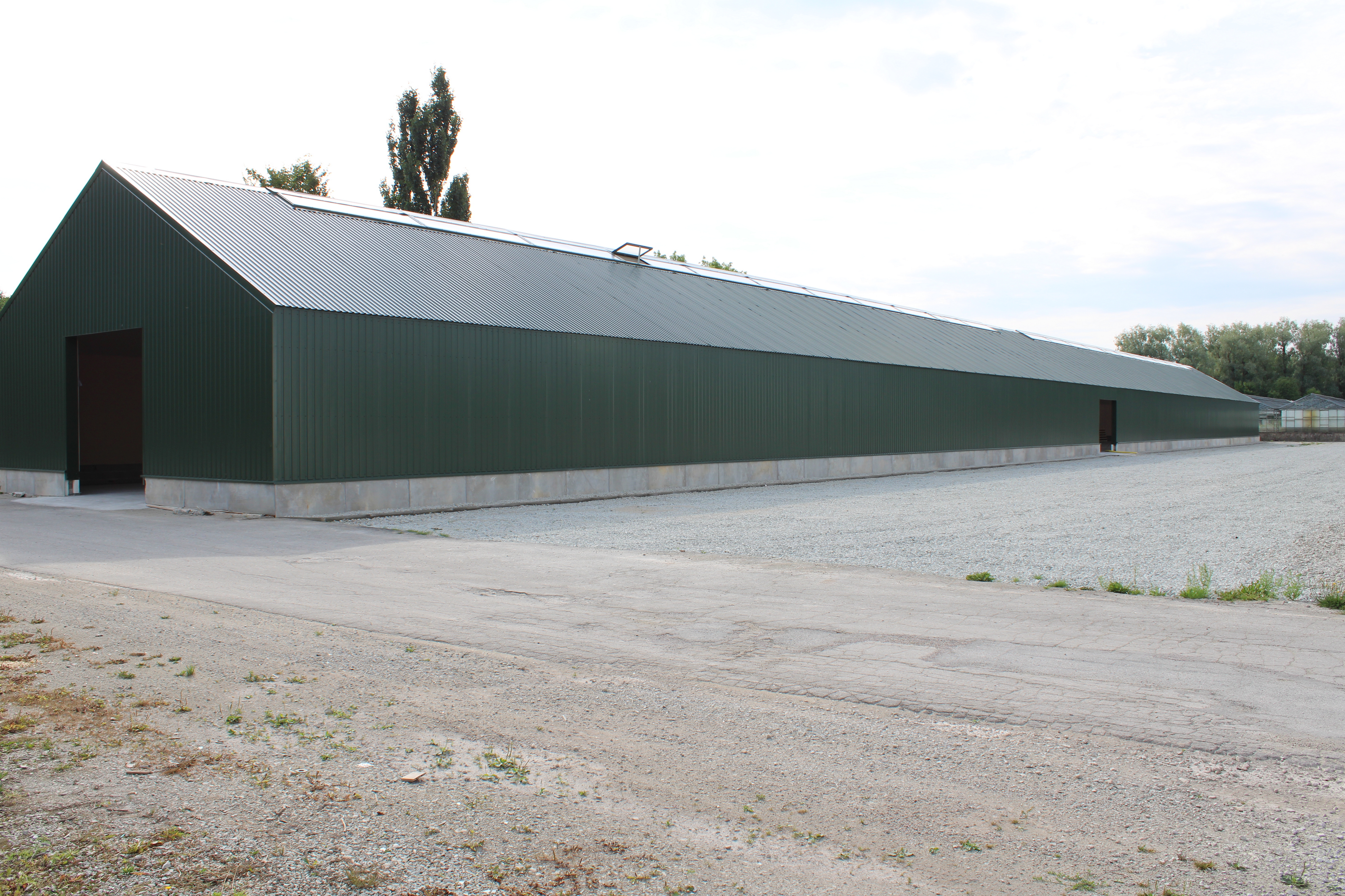 Warehouse, 700 m² business in Harku vald, Harkujärve küla - photo 4
