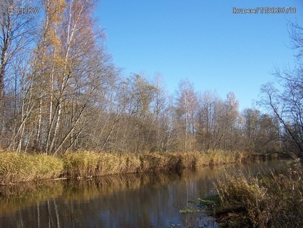 Maatulundusmaa, 23782 m² Maa  -  Põhja-Sakala vald, Jälevere küla